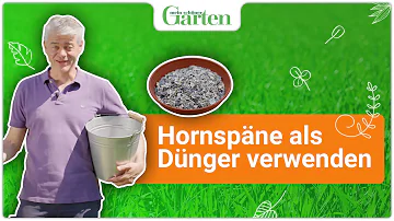 Ist Hornspäne ein guter Dünger?