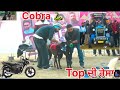 Cobra 🐍 ਦਿਆ Top ਦਿਆ ਰੇਸਾ
