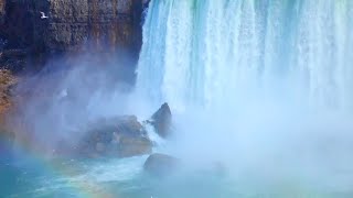 Magical Waterfall Scene: Rainbow, Flying White Birds and Majestic Stone Wall