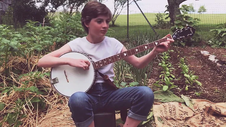 Johnson Boys Old Time Clawhammer Banjo Tune