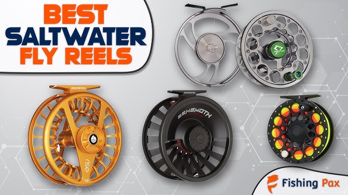 Best Fly Fishing Reels 2024 - Top 5 Best Fly Reels On  