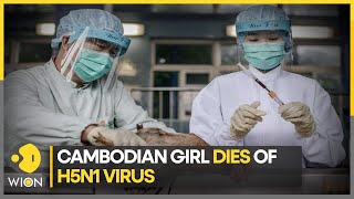 11-year-old Cambodian girl dies of H5N1 virus, infected girl's father also tests positive | WION