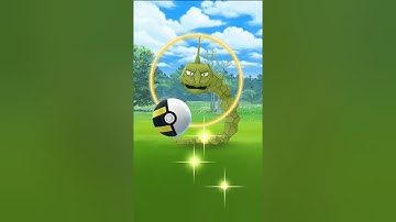 Can I Catch This ✨ Shiny Onix Appeared in Wild #shorts #pokemongo