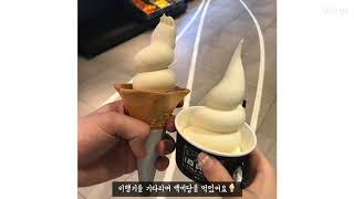 201812102 제주도 체험위크