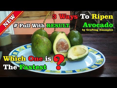 Video: 3 Ways to Ripe Avocado