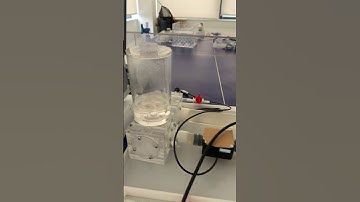 Hemodynamic flow sensor #flowmeter #cardiovascular #pulsatile #heartvalve #lab #ecmo #research