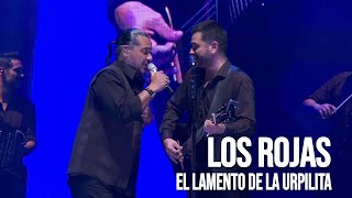 Video thumbnail of "Los Rojas - Lamento de la urpilita | En vivo"