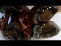 #viralvideo Black Egg Century slicing/cracking peel #trendingb#satisfying #highligt #shorts #viral