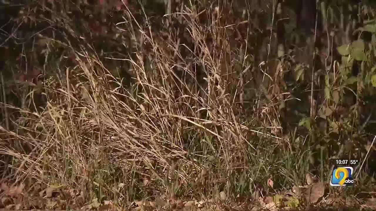 High winds and dry conditions create risk of fires spreading - YouTube