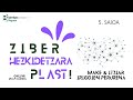 Ziberhezkidetzara plast! (5. saioa)