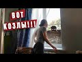 Вторжение на наш участок !!! Как воспитать кошку???