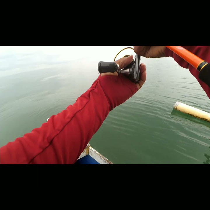 Capung 3lb digenjod GT 3kg 🆙