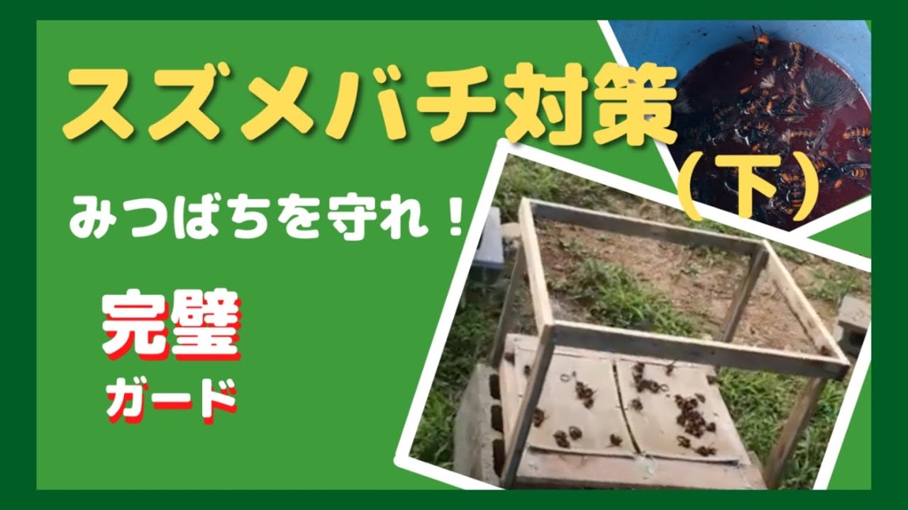 みつばちをスズメバチから守れ！スズメバチ対策（下）｜粘着シート｜スズメバチ誘引液　＃養蜂＃みつばち＃スズメバチ