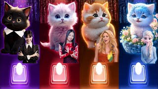 Cute Cats Dance | Wednesday Dance Bloody Mary | Jisoo Flower | Shakira Waka Waka | Elsa Enemy Songs