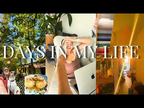 My first autumn with megg in my new apartment | back to routine, cooking, organizing and food haul