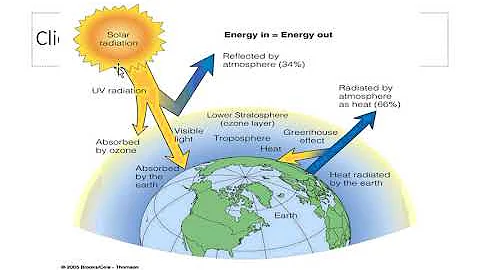 Ecosystems and Net Primary Productivity