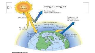 Ecosystems and Net Primary Productivity