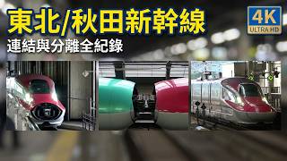(4K) JR東日本 東北新幹線/秋田新幹線 E5系與E6系在盛岡車站連結與分離