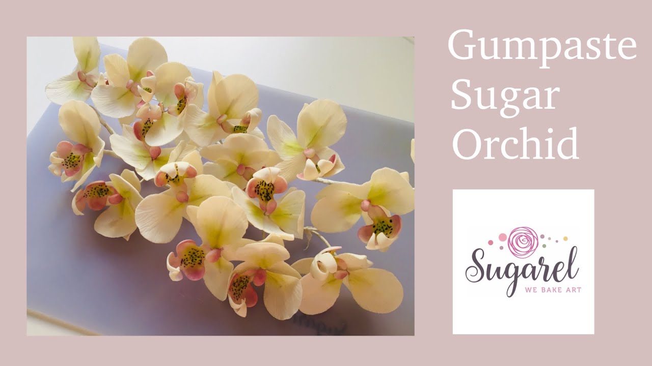 Gumpaste sugar orchid زهرة الاوركيد من عجينة السكر، الغمبيست