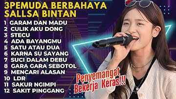 LAGU SKA REGGAE MENEMANI PERJALANAN  | SALLSA BINTAN FT 3PEMUDA BERBAHAYA | GARAM DAN MADU 2025