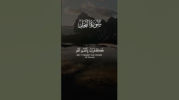 القارئ#فارس_عباد #القرآن_الكريم #quran
