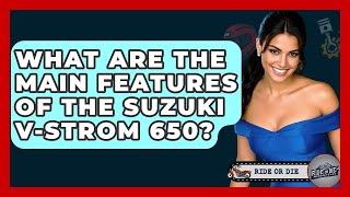 What Are The Main Features Of The Suzuki V-Strom 650? - Ride or Die Motorcycles