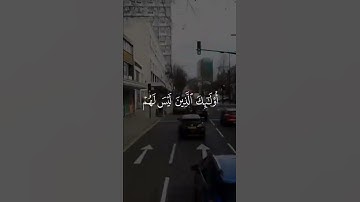 تلاوة هادئة للشيخ ماهر المعيقلى - من سورة هود - راحه نفسيه