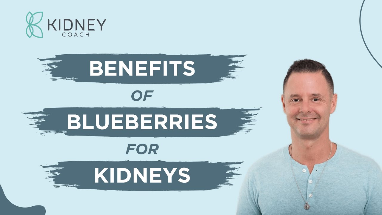 Amazing Benefits of Blueberries for Kidneys Boosting Kidney Health