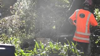 Guardian Tree Services