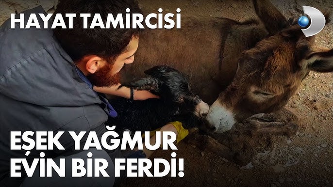 Mevlana ve Mesnevilik | Sayfa 3 | fotovisionerotr.top Mevlana ve Mesnevilik | Sayfa 3 | fotovisionerotr.top