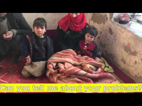 Urgent Support Needed Urgent Support Needed