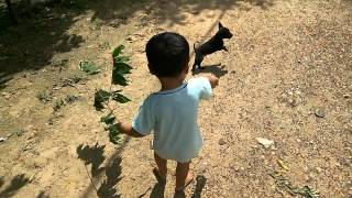 Baby play with dog back | baby videos | Baby video clip | baby Activity Baby play with dog back | baby videos | Baby video clip | baby Activity