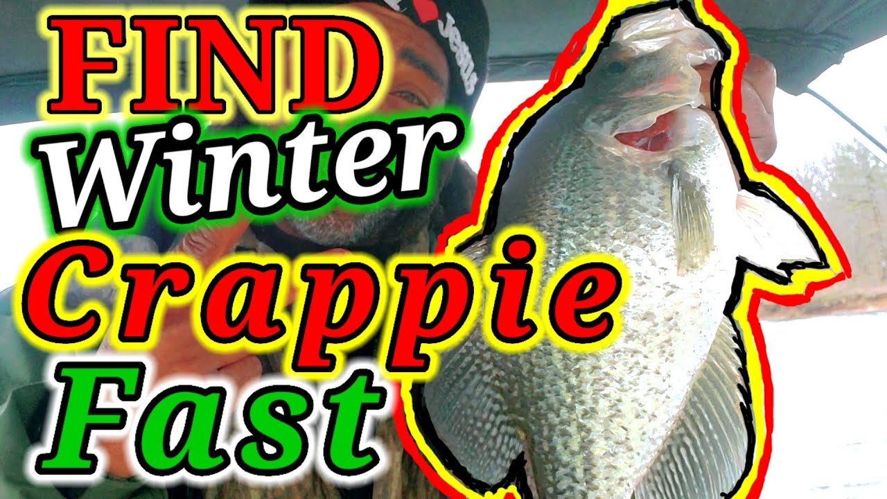 WINTER CRAPPIE LIVESCOPE FISHING SECRET BANK TIPS FIND CRAPPIE IN