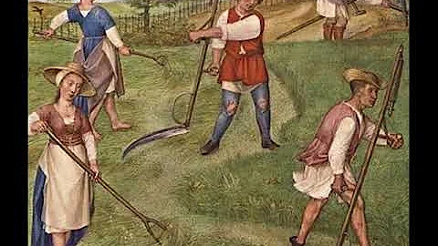 Quem são os servos da gleba?