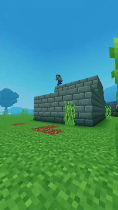 MINECRAFT BEDROCK EDITION SINEMATIC BUILD