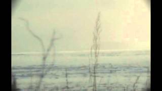 vimeo music videos sea songs   Yahoo! Video Search8 screenshot 2