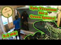 Epic Vivarium for a Green Iguana - Part 1