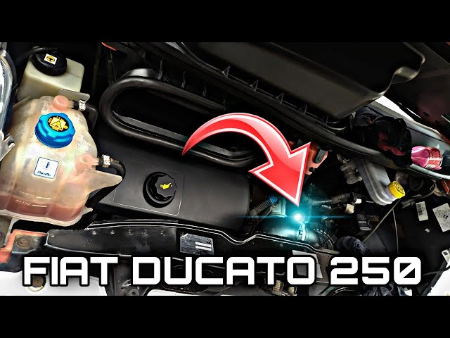 Какое масло лучше заливать в двигатель Fiat Ducato