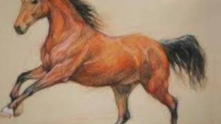 Horse With Soft Pastel Colour screenshot 4