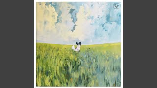 Forever - The Flashbulb