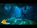 Plonge cenotes 4k  grottes sousmarines mexicaines  monde sousmarin incroyable  3 heures