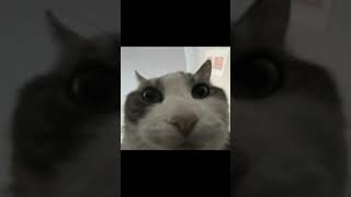 Evil Larry Raids My Fridge