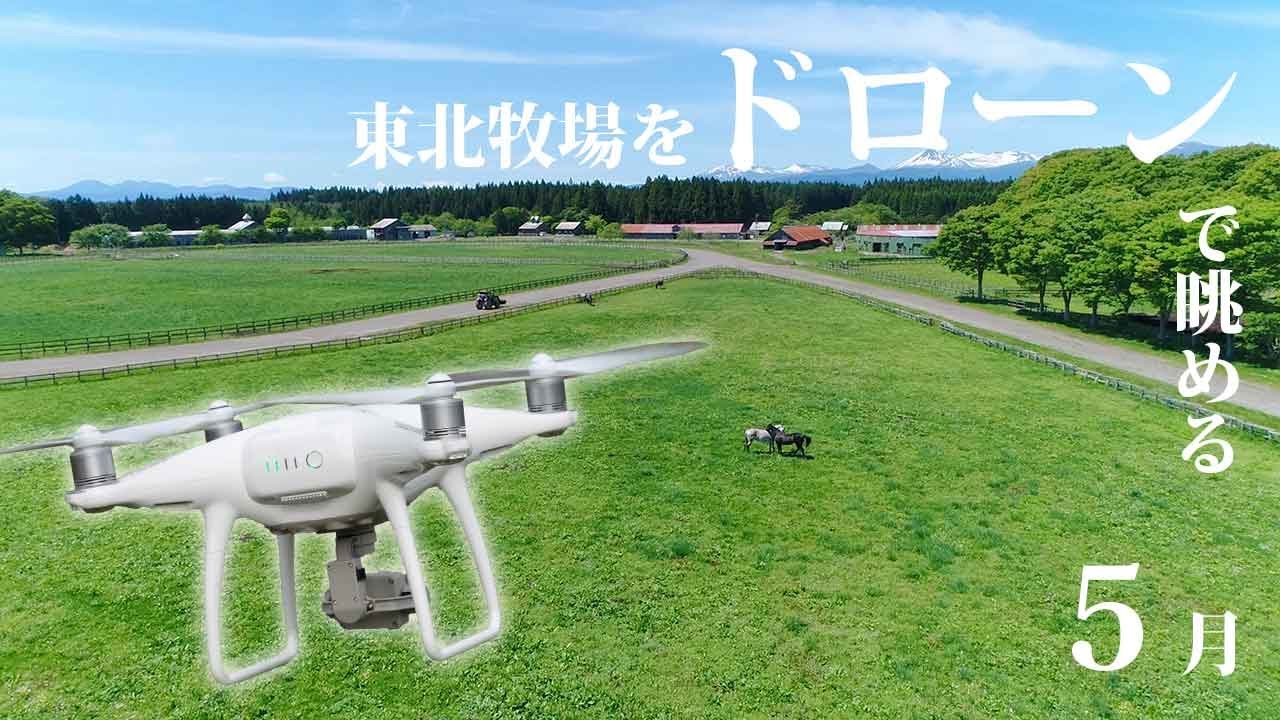 ドローンで見る東北牧場 21年5月 Youtube