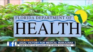 Judge rules Tampa strip club owner can legally grow his own medicinal marijuana