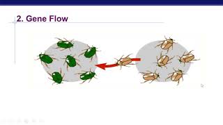 Mechanisms of Evolution