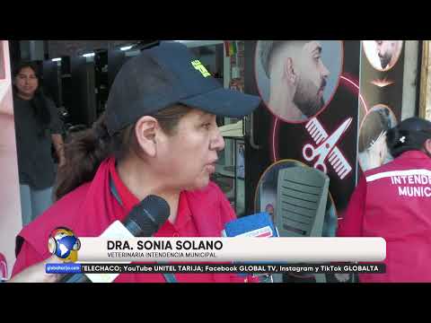 INTENDENCIA DECOMISA PRODUCTOS EN MAL ESTADO EN VARIAS PELUQUERÍAS