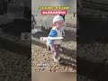 小羊误把小男孩当妈妈 追着屁股后面要 吃奶 小羊误把小男孩当妈妈 追着屁股后面要 吃奶
