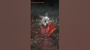 Spiked Palisade Shield Build In Elden Ring IS OP  #eldenring #eldenringbuilds