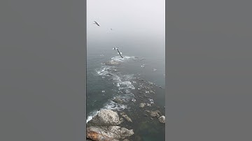 Embracing Change 🌊🌊