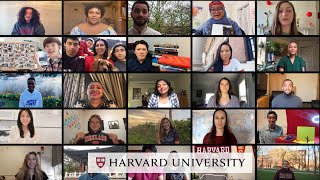 Meet Harvard graduates from across the globe